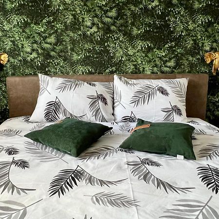Jungle Lux Apartment Čačak 외부 사진