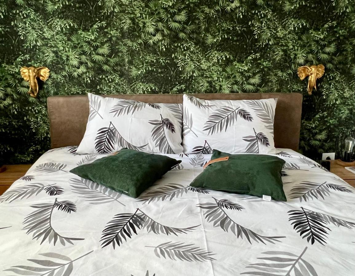 Jungle Lux Apartment Čačak 외부 사진